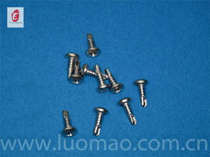 不銹鋼螺絲廠 不銹鋼螺絲 凡易